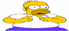 homer5.png