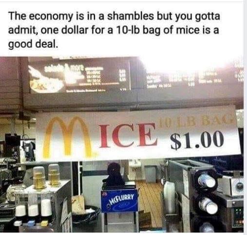 010C8D3B-904C-4122-BFB6-B939E71E6880.jpeg