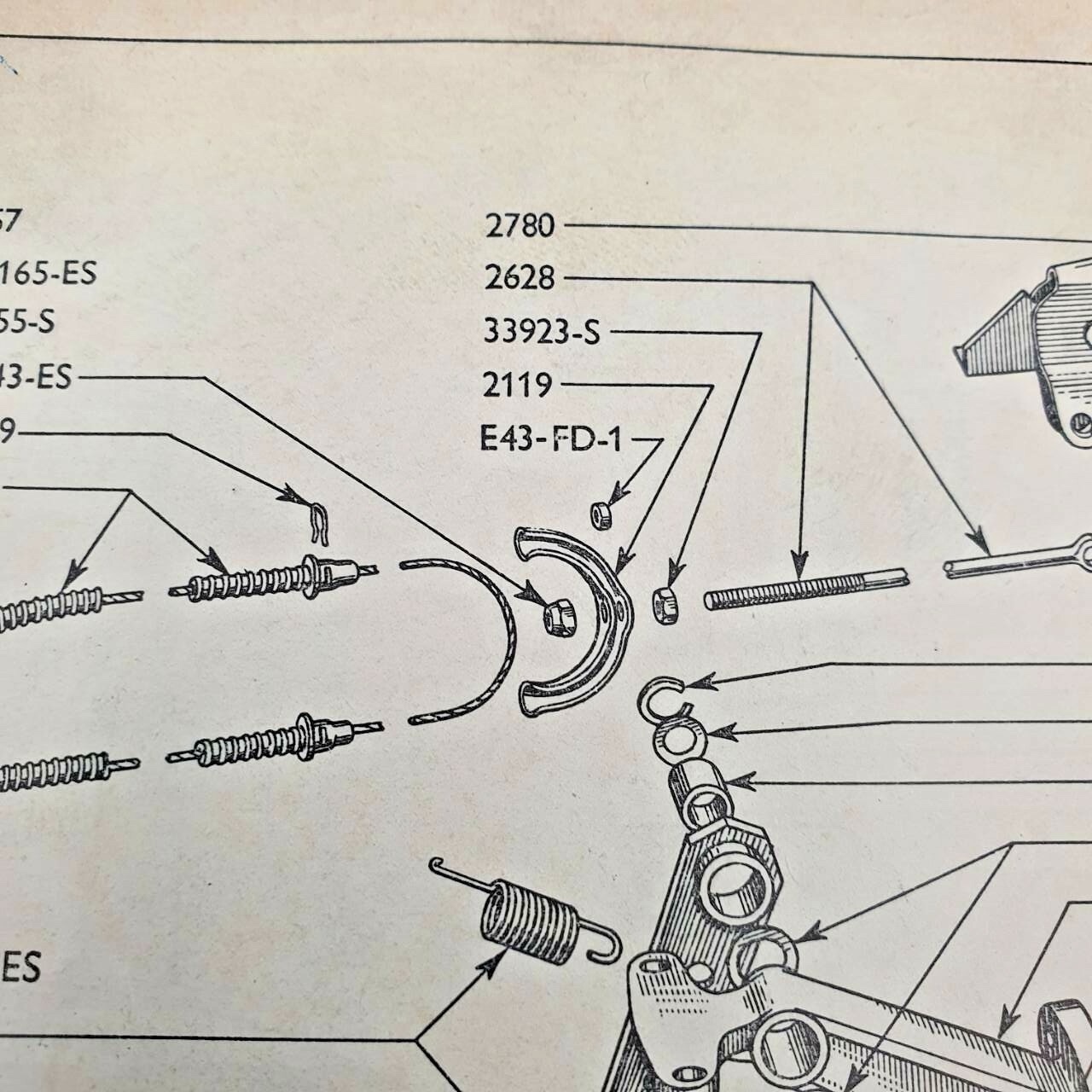 1 (148).jpeg