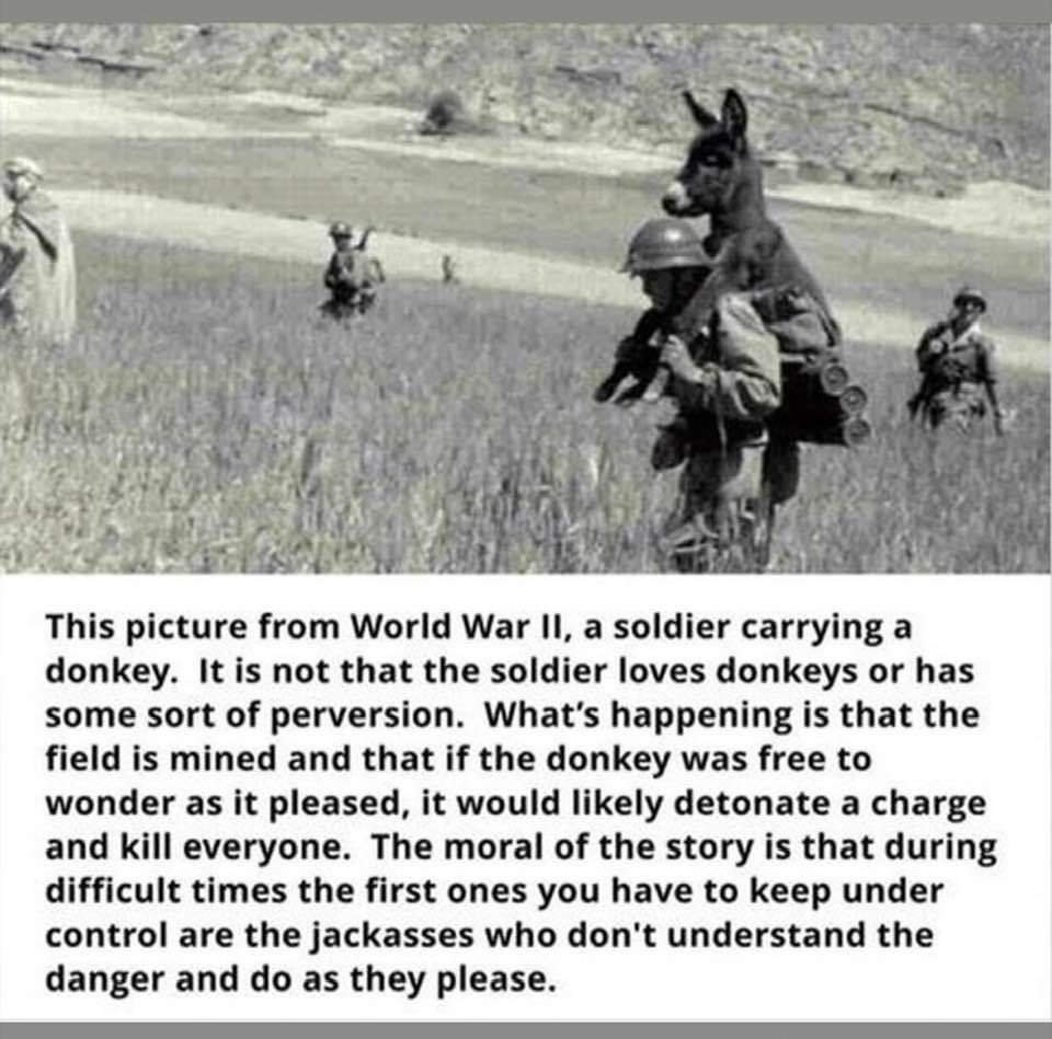 1589651713112.png