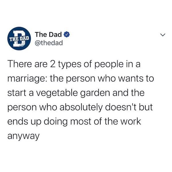1598026902442.png