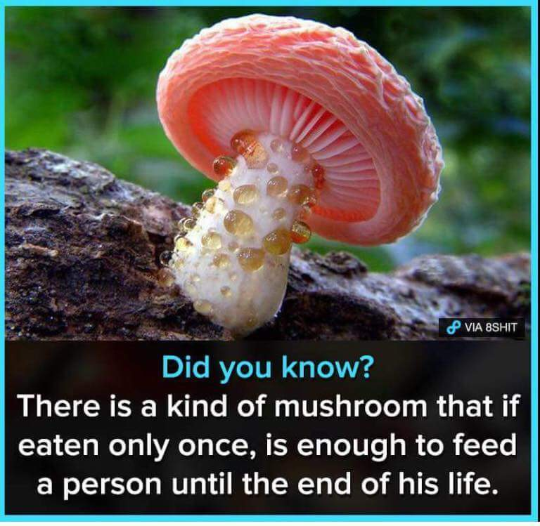 1598029627780.png