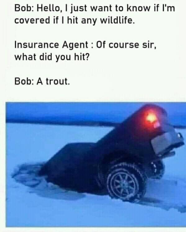 1642263046902.png