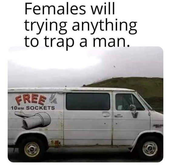 1686854779117.png