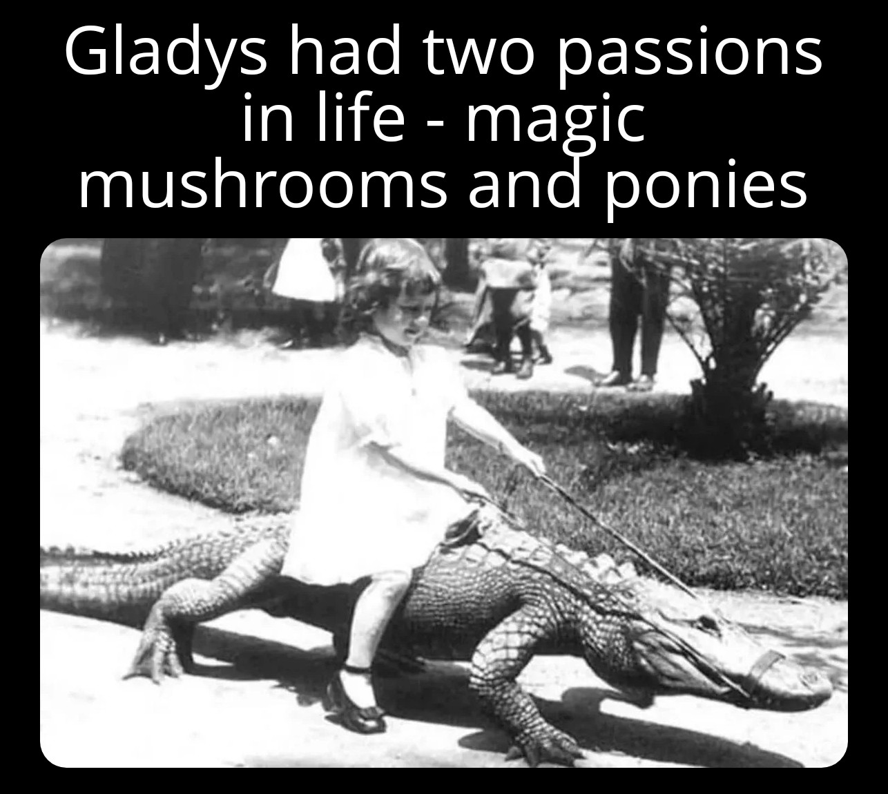 1771504331731.png