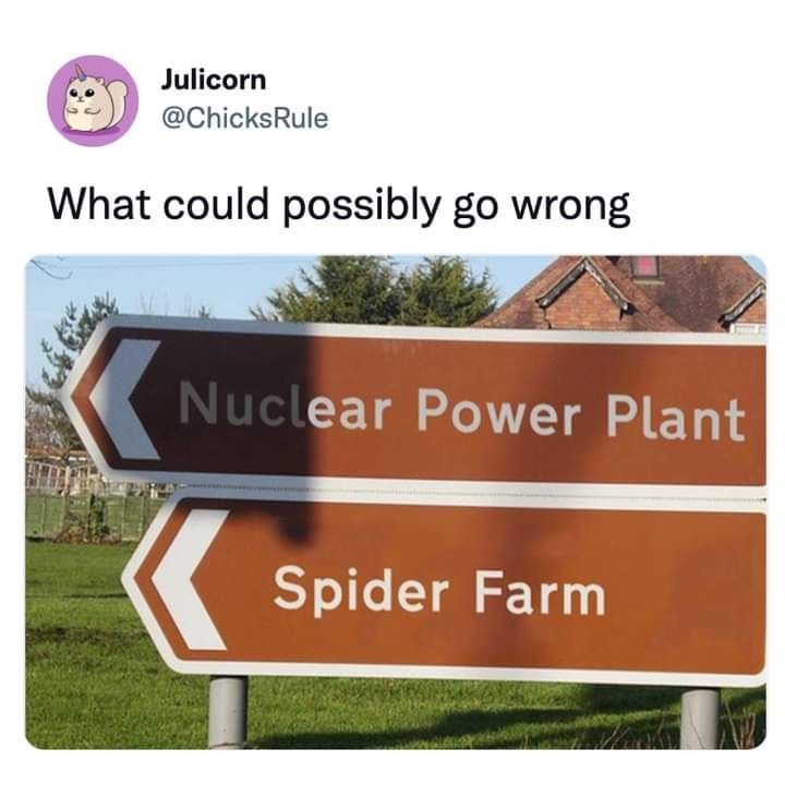 292537710_3373304306231593_2275228348439844270_n.jpg