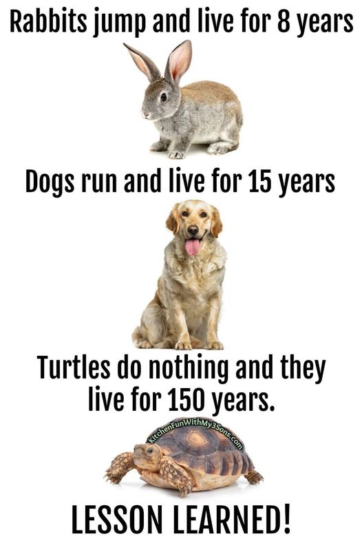 332377103_1235349747399624_1696532143938902200_n.jpg