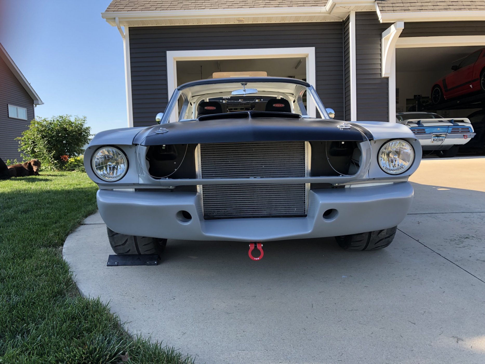 350primer3.JPG