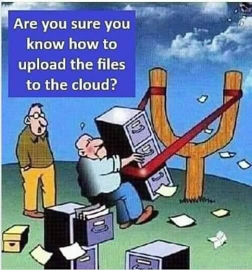 862DE39A-022B-4F6A-B3B4-10C71535EDC9.jpeg