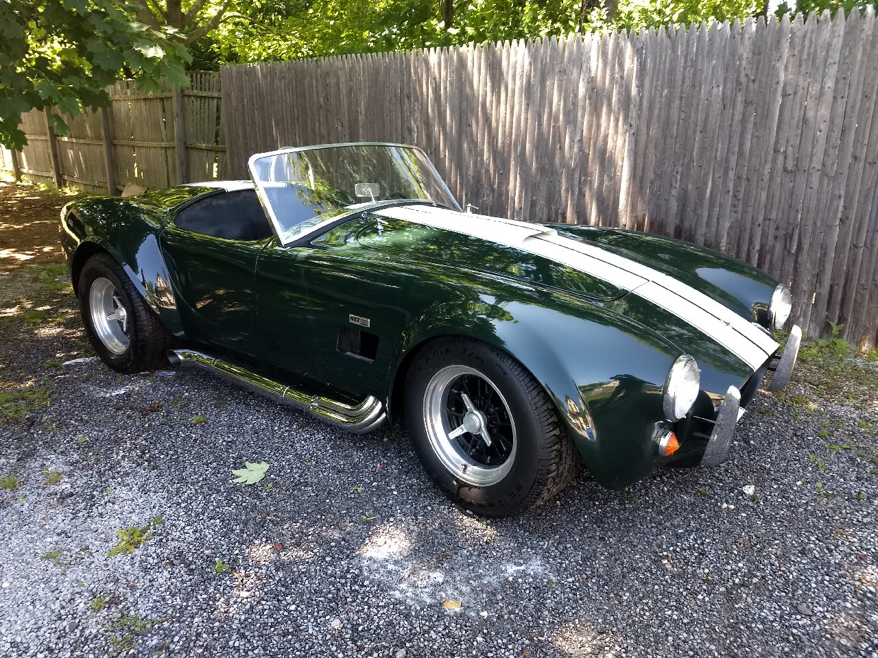 cobra 3.jpg