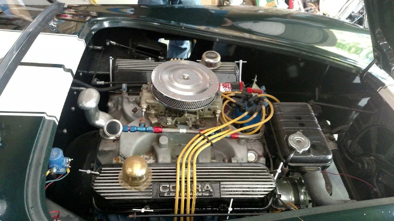 cobra 6.jpg