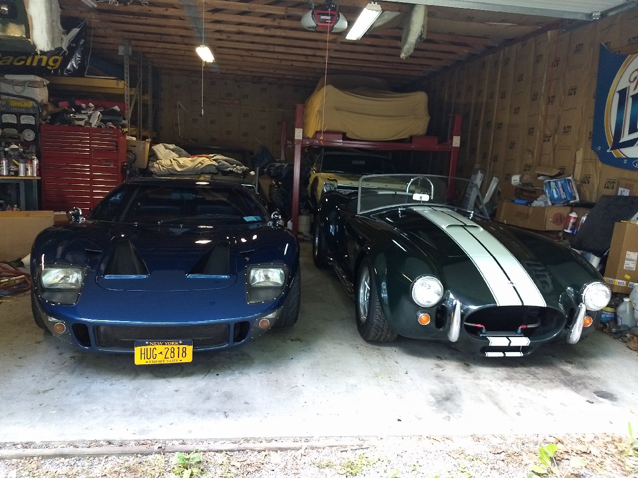 cobra pics.jpg