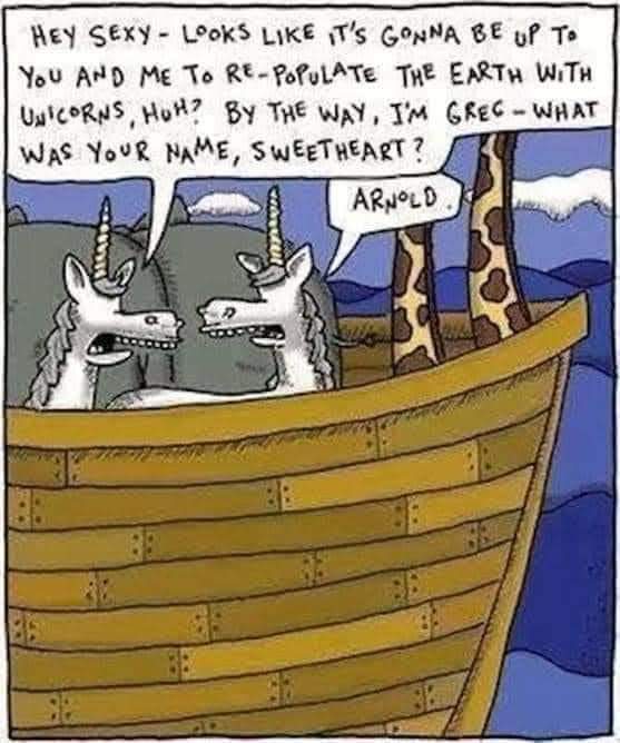 FB_IMG_1648246466992.jpg
