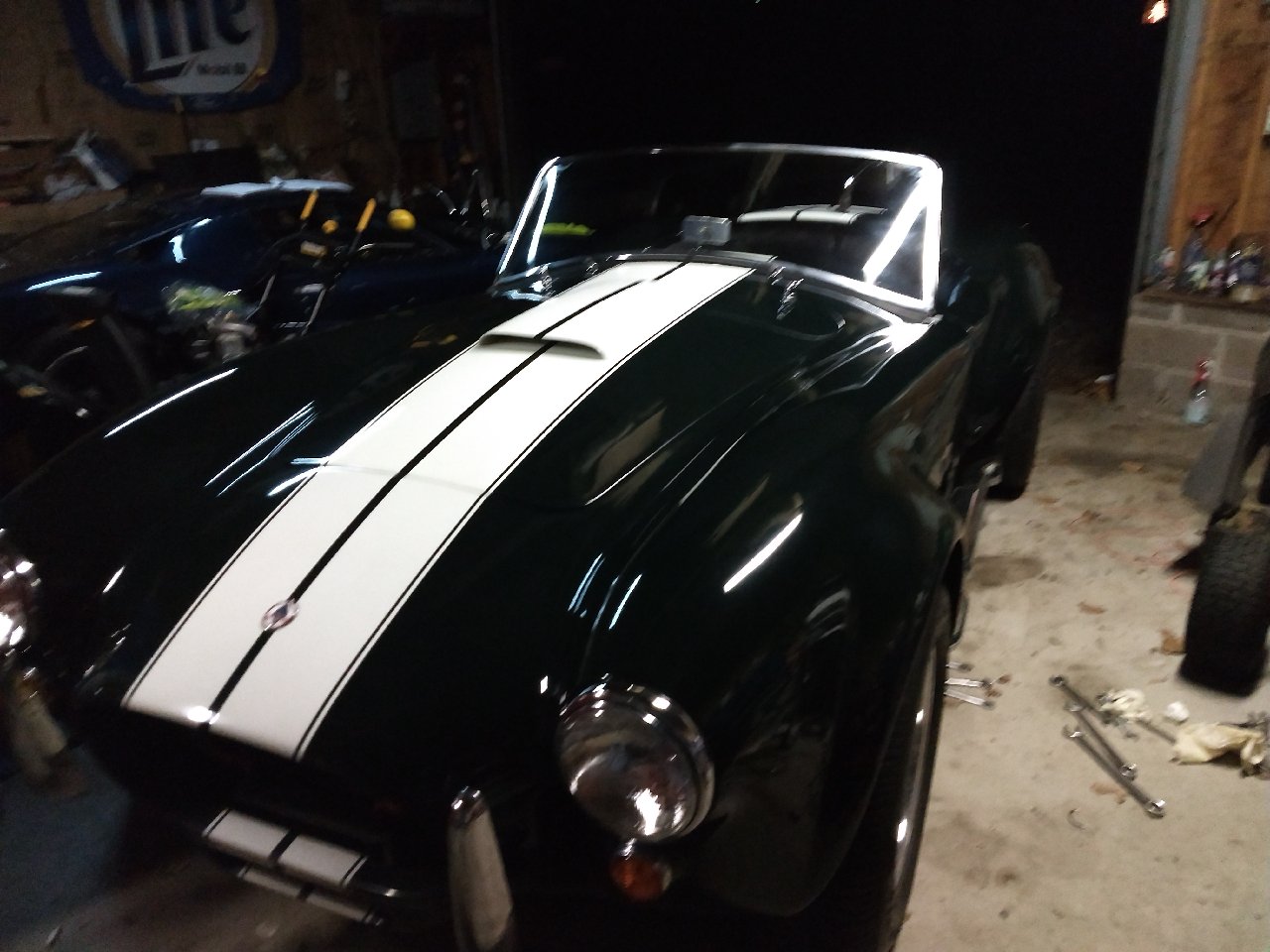 finished cobra 3.jpg