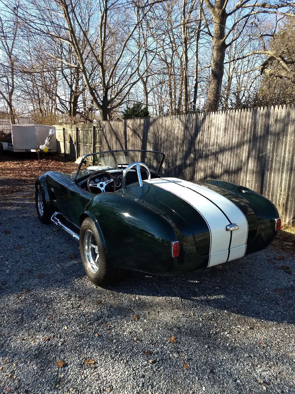 finished cobra 4.jpg