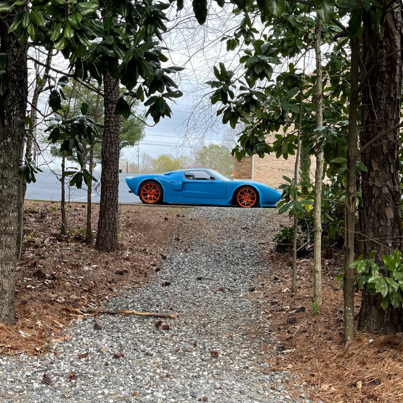 GT-R wild.JPG
