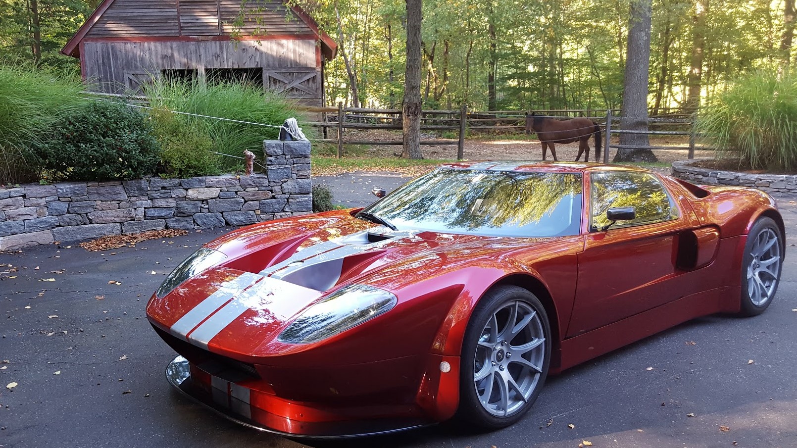 GTR with horse (2).jpg