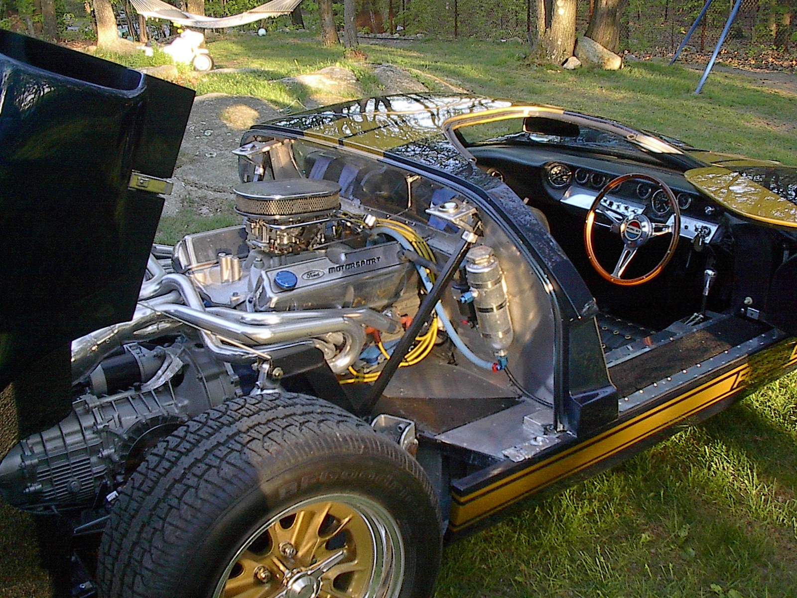 Hawk and Car 008.jpg