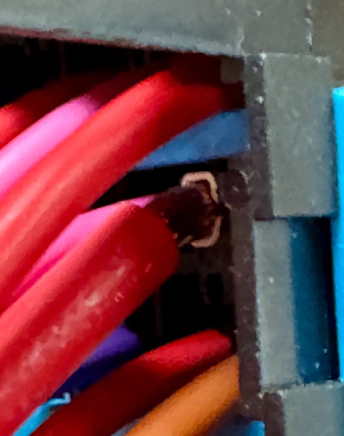 IMG_9413.jpeg