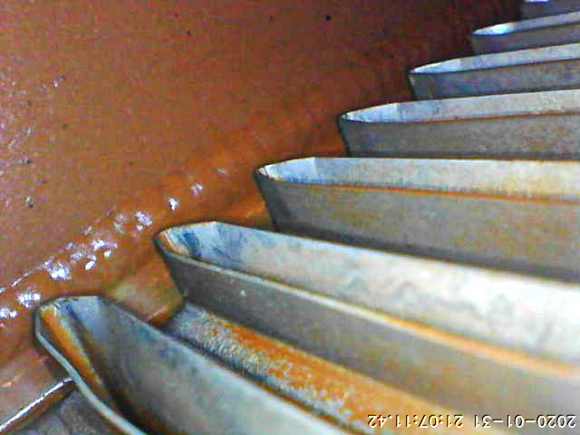 IPC_2020-01-31.21.07.11.4040.jpg