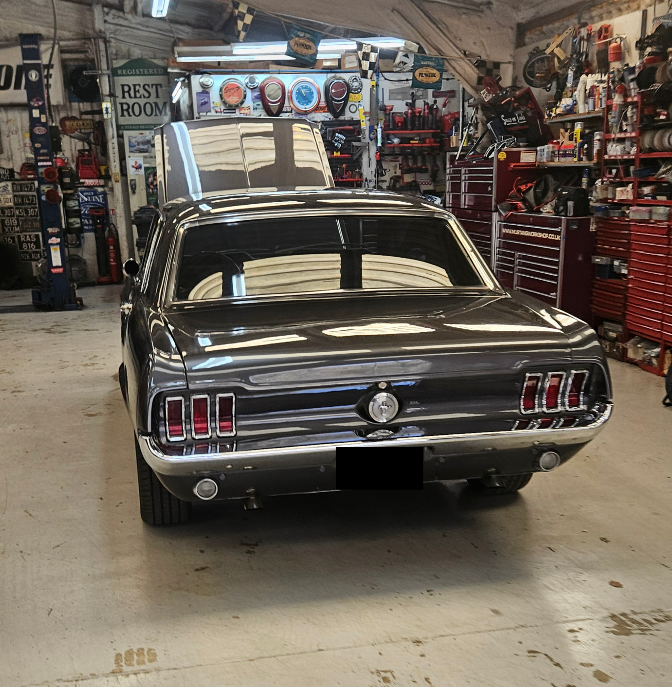 mustang.png