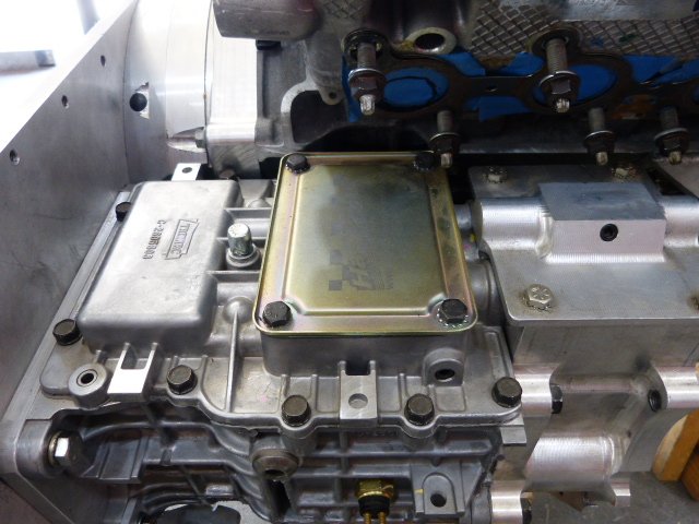 P1170783.JPG