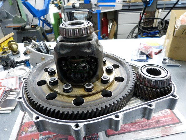 P1170795.JPG