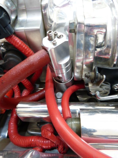 P1170810.JPG
