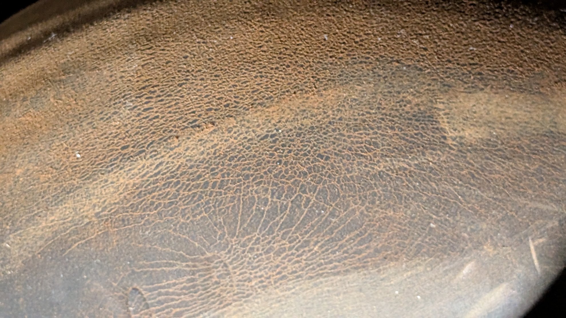 PXL_20250325_225527493.jpg