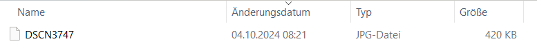 Screenshot 2024-10-05 092902.png