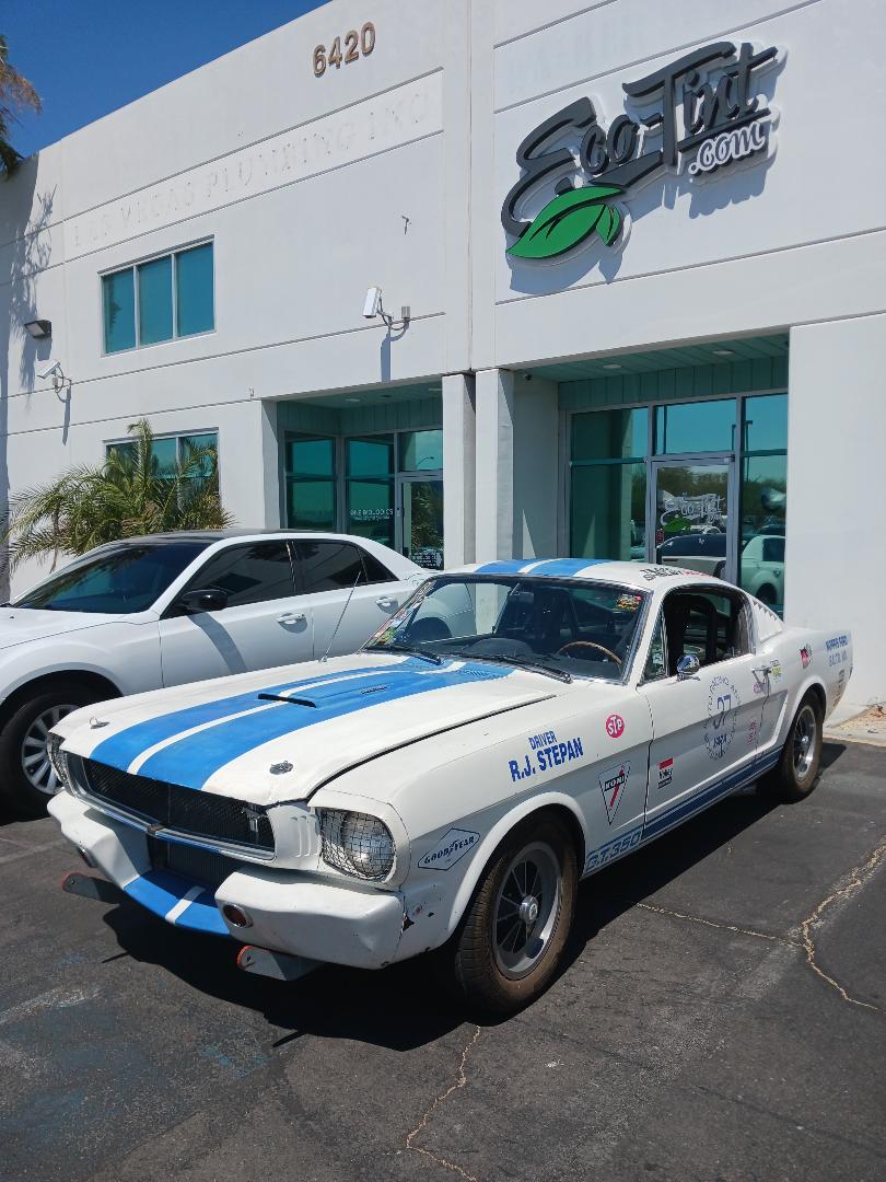 SHELBY TEAM SHELBY.jpg