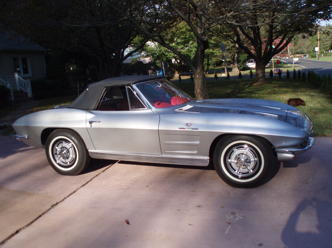 Vette_1.jpg
