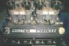 21034-Gurney cover 3.jpg