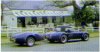 19956-Cobra02.jpg