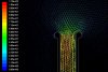 29902-gary.jpg