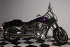 30353-WARRIOR2.jpg