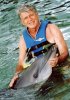 30816-dolphin2.jpg