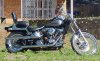 30984-Hog.jpg