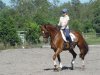32687-Jasper1.JPG