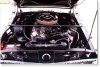 34316-GT350.jpg