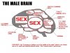34802-male.jpg