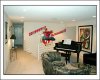 36186-SPIDEY in the house.jpg