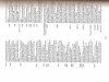 scansione0004.jpg