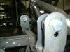 gt40 susp 007-1.JPG