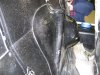 original bulkhead (Small).jpg