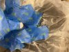 IMG_6354.jpeg
