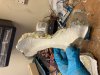 IMG_6284.jpeg