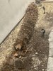 IMG_6934.jpeg
