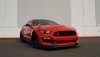 DSC02033a.jpg