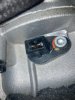 IMG_8578.jpeg